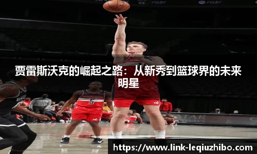 乐球直播官网
