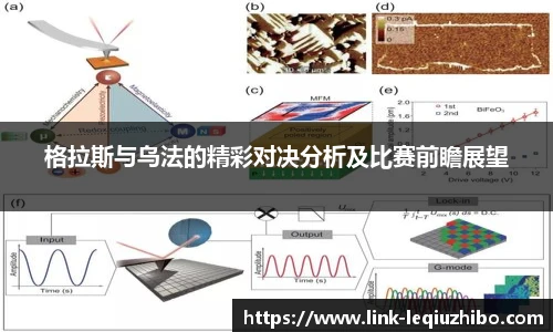 乐球直播在线