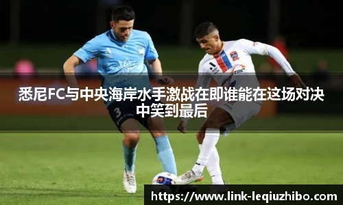 乐球直播在线
